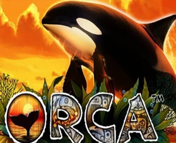 Orca